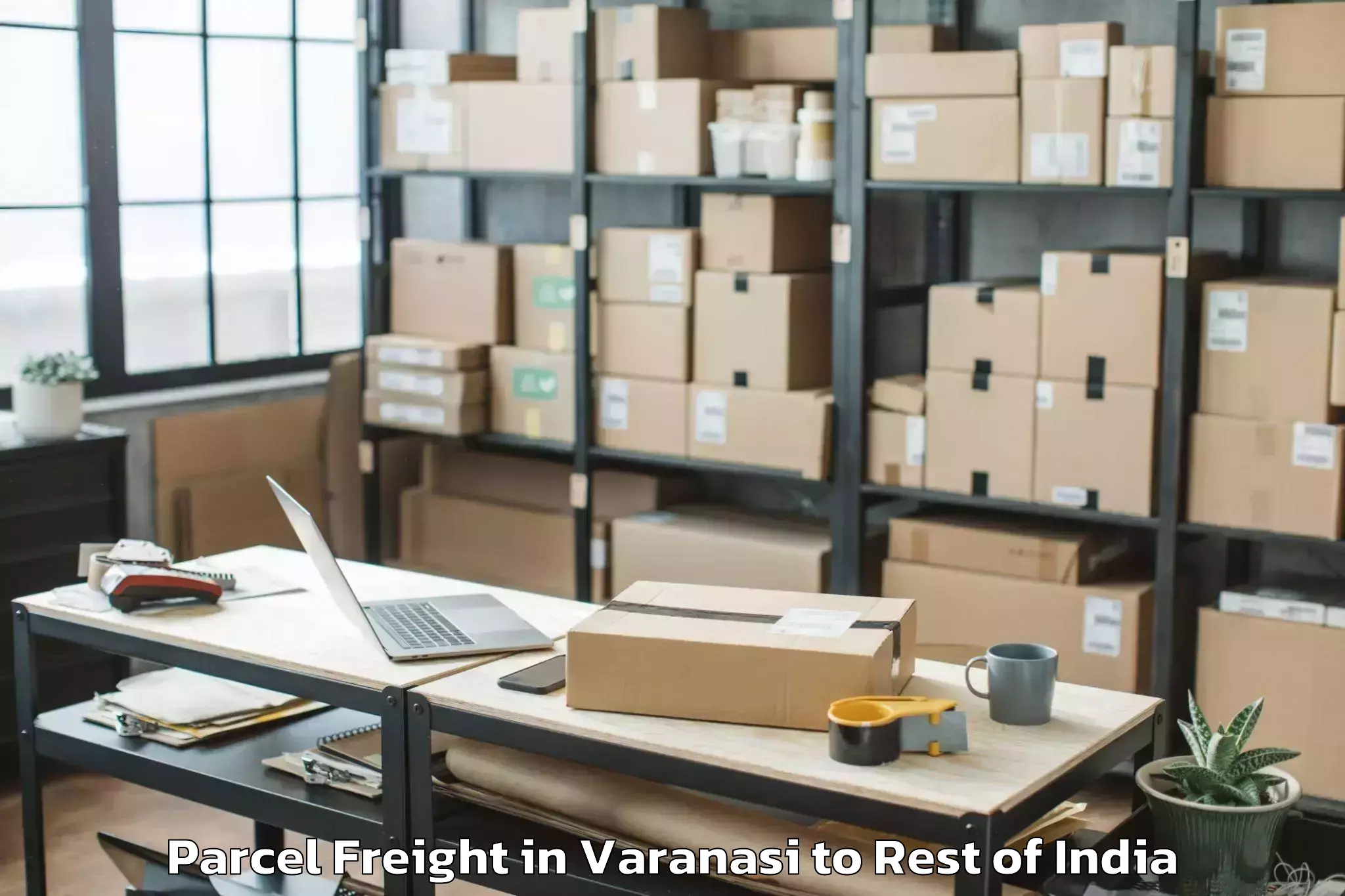 Reliable Varanasi to Bashohli Parcel Freight